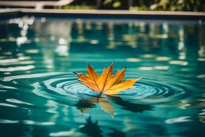 Inondations en Espagne : une influenceuse mécontente des feuilles mortes dans sa piscine