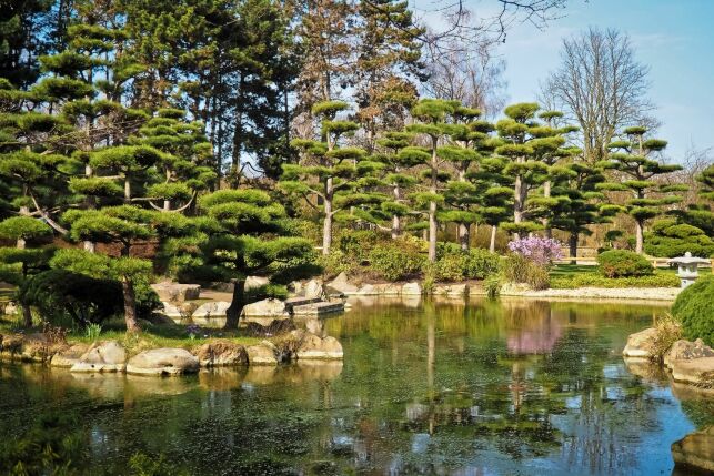 La piscine naturelle utilise un processus naturel de filtration de l'eau.