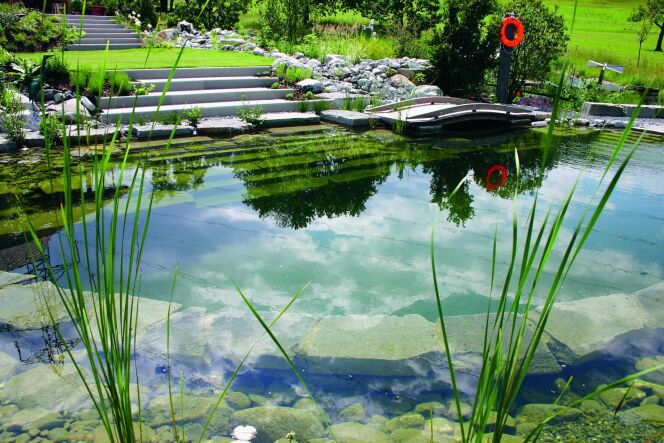 La Zone De Régénération Ou Doxygénation De Votre Piscine Naturelle