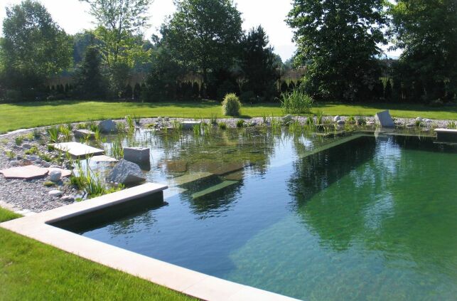 Peut-on utiliser un produit floculant dans une piscine naturelle ?