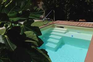 Piscine container avec plage et marches