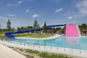 Piscine écologique Des Murs à Pêches à Montreuil Horaires Tarifs