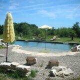 Piscine Naturelle Avec Terrasse En Bois Bionova Guide