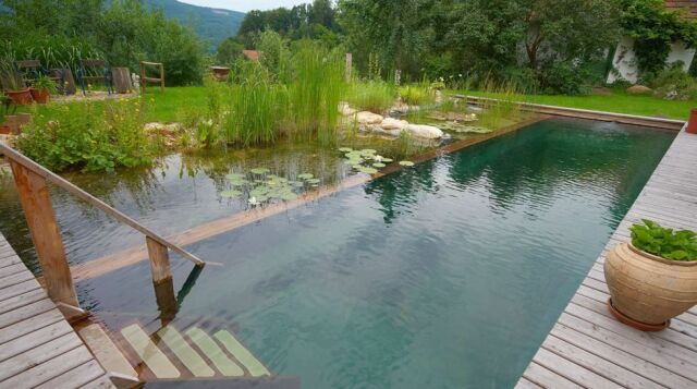 https://www.guide-piscine.fr/medias/image/piscine-naturelle-un-bassin-bio-dans-votre-jardin-19247-640-0.jpg