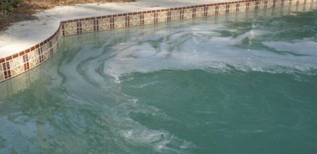 Pourquoi Leau De Ma Piscine Est Elle Devenue Verte