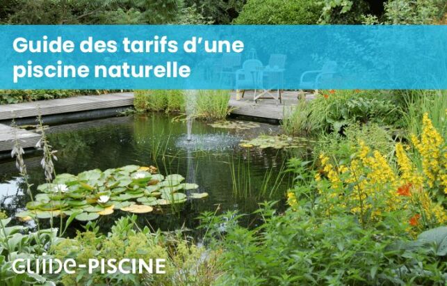 Prix d'une piscine naturelle