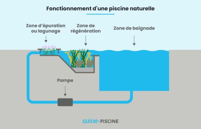 Prix d'une piscine naturelle