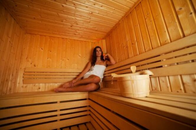 Un Sauna En Kit Ou Un Sauna Sur Mesure